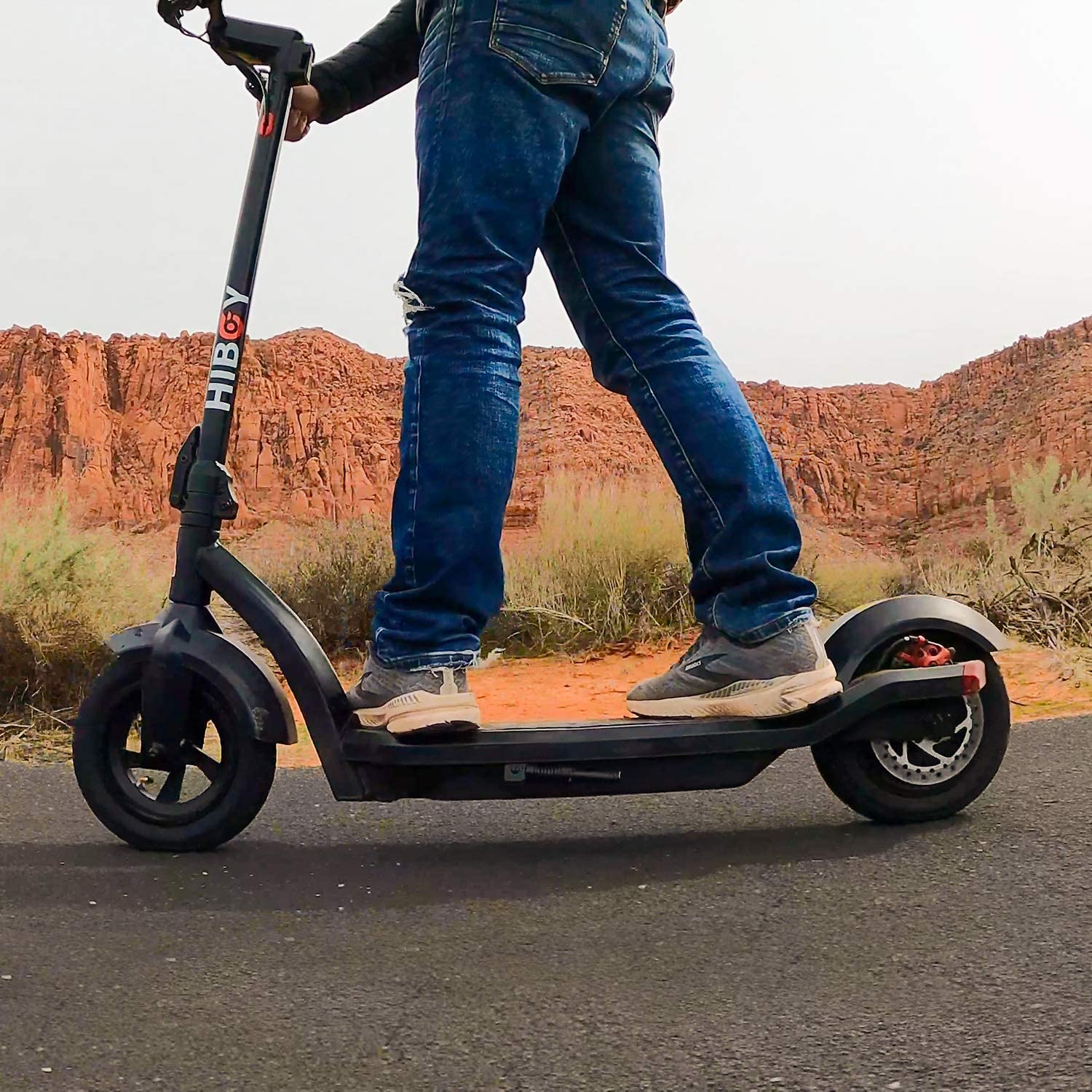 Adult Electric Scooters 350W Motor